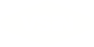 VSiN
